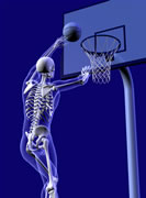 Expertise in Sports Medicine